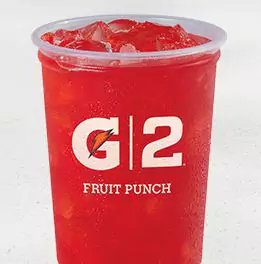 G2 Gatorade Fruit Punch